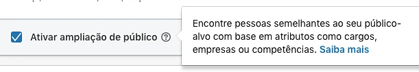 Opção de públicos semelhantes em campanhas do LinkedIn
